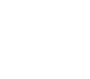 Grupo Toranna — División Traslados